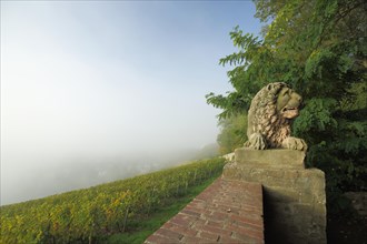 Lion Terrace on the Neroberg with fog in Wiesbaden