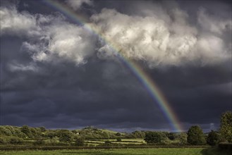 Storm clouds and rainbow over pasture