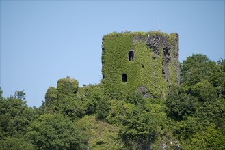 View of ivy-covered castle ruins on a hill in the coastal bay