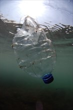 Plastic bottle drifting underwater in sea
