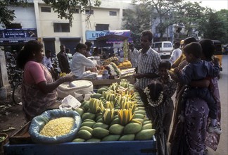 Unripe mangoes for sale on a hand cart near VOC Park