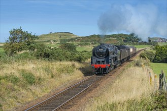 Steam train and carriages
