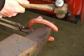 Red-hot horseshoe on anvil