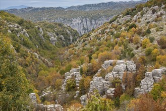 Limestone pinnacles and trees in autumn colour