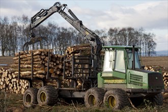 John Deere 1410D forwarder stacking felled timber from a pine plantation