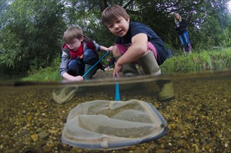 Children pond-dipping with nets in river
