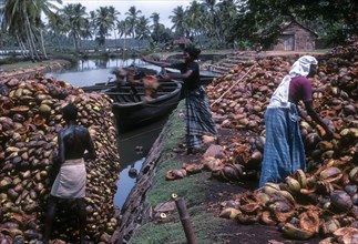 Coir Processing Small Industry. Raw Material coconut Husk is collected and transport through backwaters of Kodungaloor