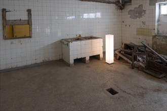Dissection cellar
