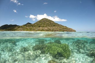 View of island and coral from above and below surface of water