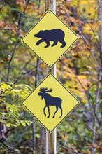 Road sign warning of bears and moose crossing
