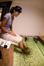 Skin treatment at the fish spa where doctor fish