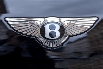 Bentley car brand logo on a Bentley Flying Spur luxury saloon