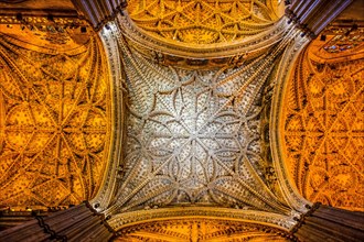 Ceiling vault of the huge cathedral