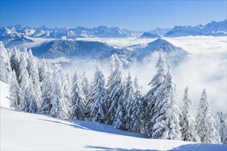 Aussicht von der Rigi