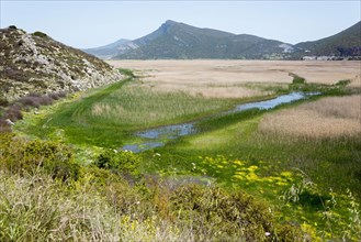 Lake Stymfalia