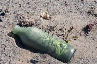 Plants growing inside discarded glass bottle on wasteland left by abandoned coal mining industry