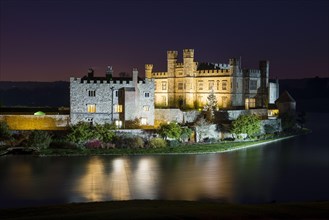 Castle with Christmas tree and moat at night