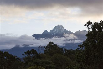 View of mountain peak and montane rainforest habitat