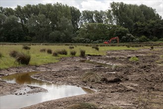 A shallow water channel cut into the marsh habitat to increase water retention. Deepdale Marsh North Norfolk