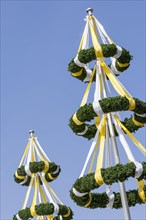 Festival trees at the Cannstatter Volksfest