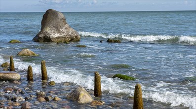 Holzfpfloecke und Steine am Strand der Ostsee bei Sassnitz