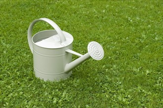 Painted metal watering can on garden lawn