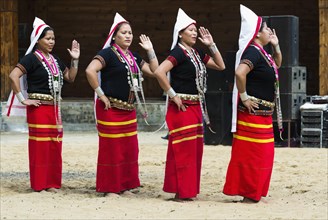 Ritual tribal dances at the Hornbill Festival