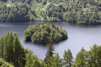 View of freshwater loch with forested island