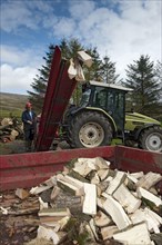 Firewood piles from tractor-driven sawing and splitting machines