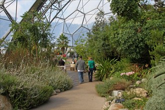 Visitors on foot in the Mediterranean Biome