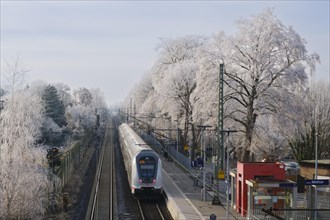 Intercity train heading to Dortmund passes through landscape with hoarfrost