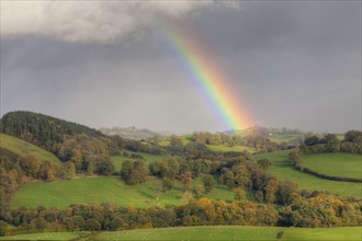 Rainbow and stormclouds over farmland with sheep in pasture