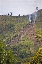 Forest fire in Madagascar