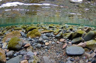 Underwater view of stony riverbed in river flowing into glacial lake