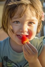 Toddler girl eating a strawberry