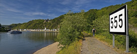 The Rhine at Rhine kilometre 555