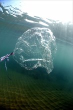 Foil balloon drifting underwater in sea