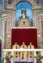 Priest preaching Santa Cruz Basilica in Fort Kochi