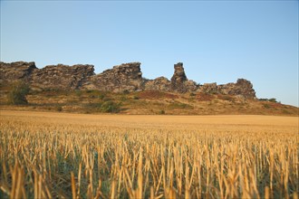 View of Devil's Wall with stubble field in Weddersleben near Thale