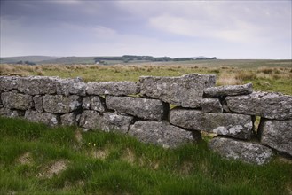 Quarry stone walls