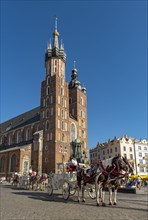 Horse-drawn Carriage in front of St. Mary's Basilica