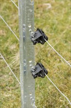 Galvanised Metal Post with Wires and Insulators for and Electric Fence for Stable Cattle