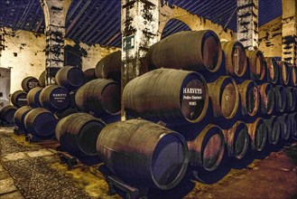 Cellar vault with sherry barrels