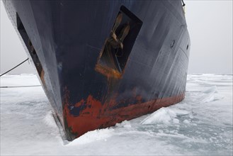 Icebreaker Origo moored in pack ice