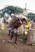 Day labourer carrying heavy bag on back spinal in Perundurai near Erode