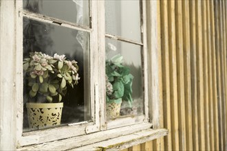 Altes Holzfenster von aussen mit Plastikblumen