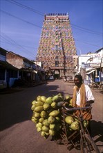 The eleven tiers Sarangapani temple Rajagopuram in Kumbakonam