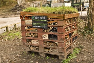 Bug Hotel artificial site created from wooden pallets for invertebrates
