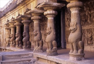 Lion Pillars in Vaikuntha Perumal Temple in Kanchipuram near Chennai