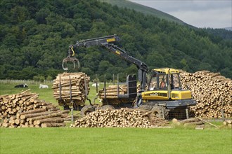 Loading sawn timber logs onto trailers